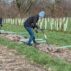 Volunteers at a tree planting event in the UK.