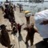 Aid distributed to flood victims in Pakistan.