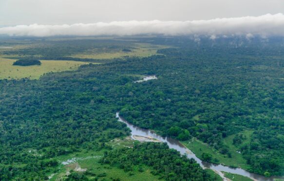 Aerial view of Odzala-Kokoua National Park in the Republic of the Congo.