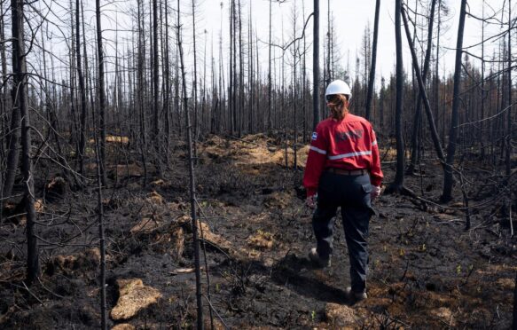 A forest protection officer walks through an area of burned forest in Quebec, Canada, on 5 July 2023.