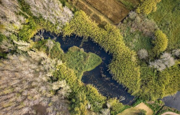 Aerial view of the Ullals de Baltasar sources, Catalonia, Spain.