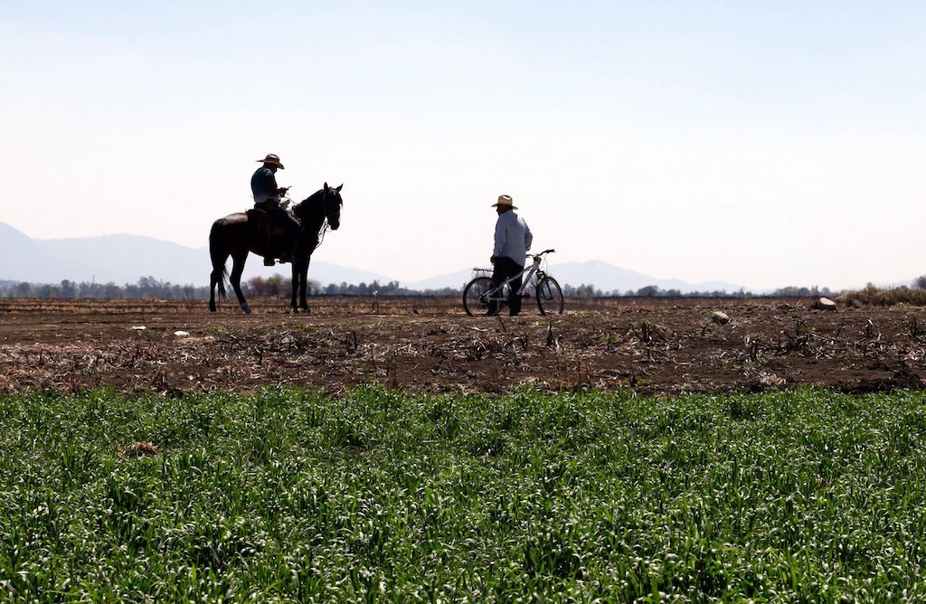 Farmers affected by drought in February this year, next to Zumpango Lagoon, Mexico. Image ID: 2WKXX9R.