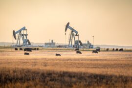 Pair of working pump jacks on ranch land with cattle, Canada.