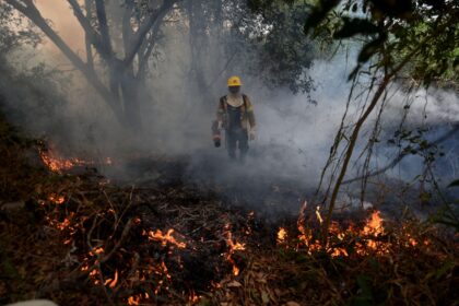 A firefighter working to put out a fire in the Pantanal in Mato Grosso do Sul, Brazil on 7 July 2024.