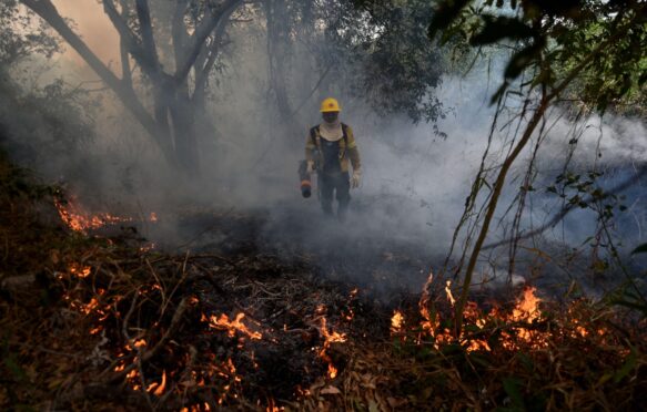 A firefighter working to put out a fire in the Pantanal in Mato Grosso do Sul, Brazil on 7 July 2024.