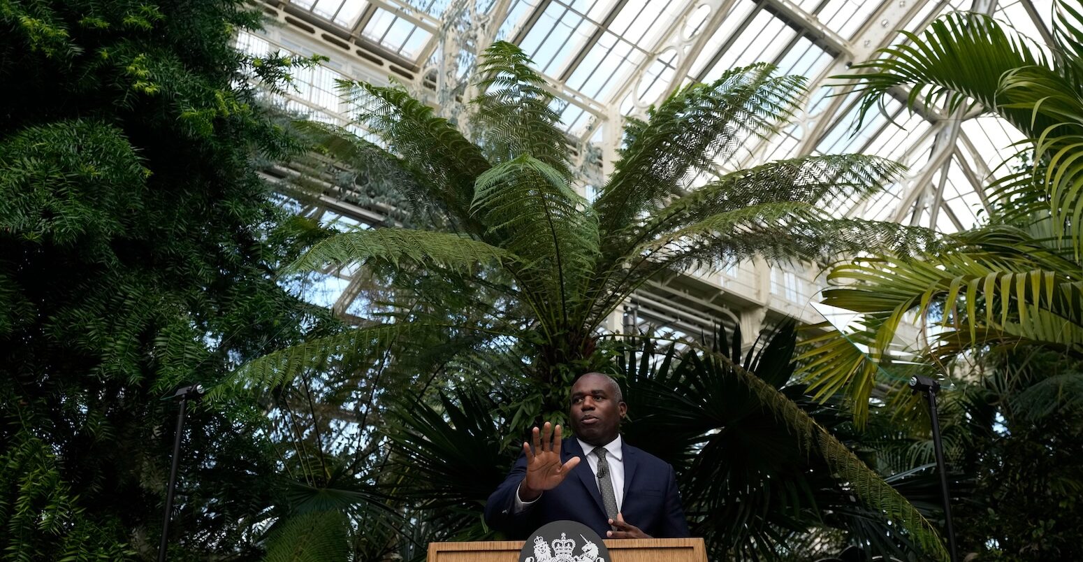 Foreign Secretary David Lammy at Kew Gardens in London, UK.