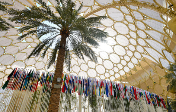 View of flags during COP28 in Dubai, United Arab Emirates.