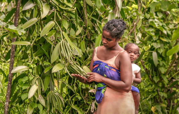 A malagasy farmer and her son on vanilla plantation near Sambava