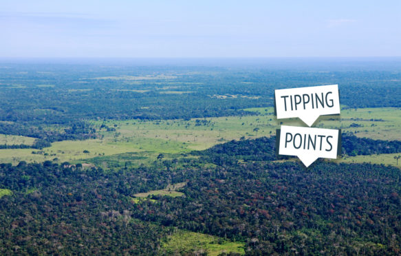 Aerial image of the Amazon rainforest near Puerto Maldonado, Peru. Credit: Kuttig-Travel-2 / Alamy Stock Photo.