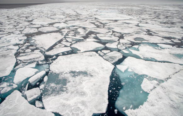 Arctic sea ice floe in Svalbard