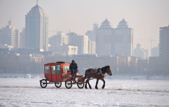 Horse and carriage crosses the frozen Songhua River with the city of Harbin in background. Heilongjiang Province, China.