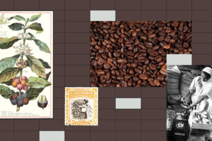 Commodity Profile: Coffee Hero Montage