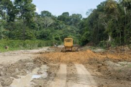 Bulldozer clears a dirt road in the Amazon near the Tapajos River in Para State, Brazil.