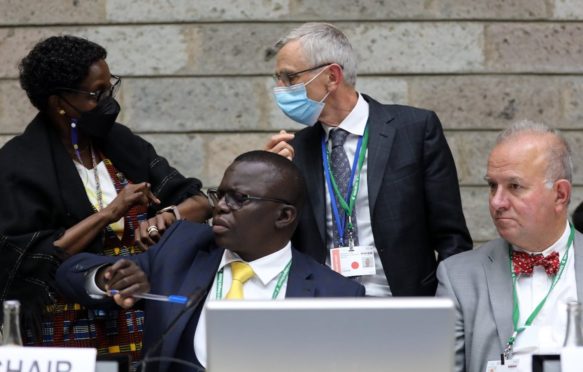 UN Biodiversity’s executive secretary Elizabeth Maruma Mrema and deputy secretary David Cooper, with Francis Ogwal and Basil Van Havre, WG2020 co-chairs.