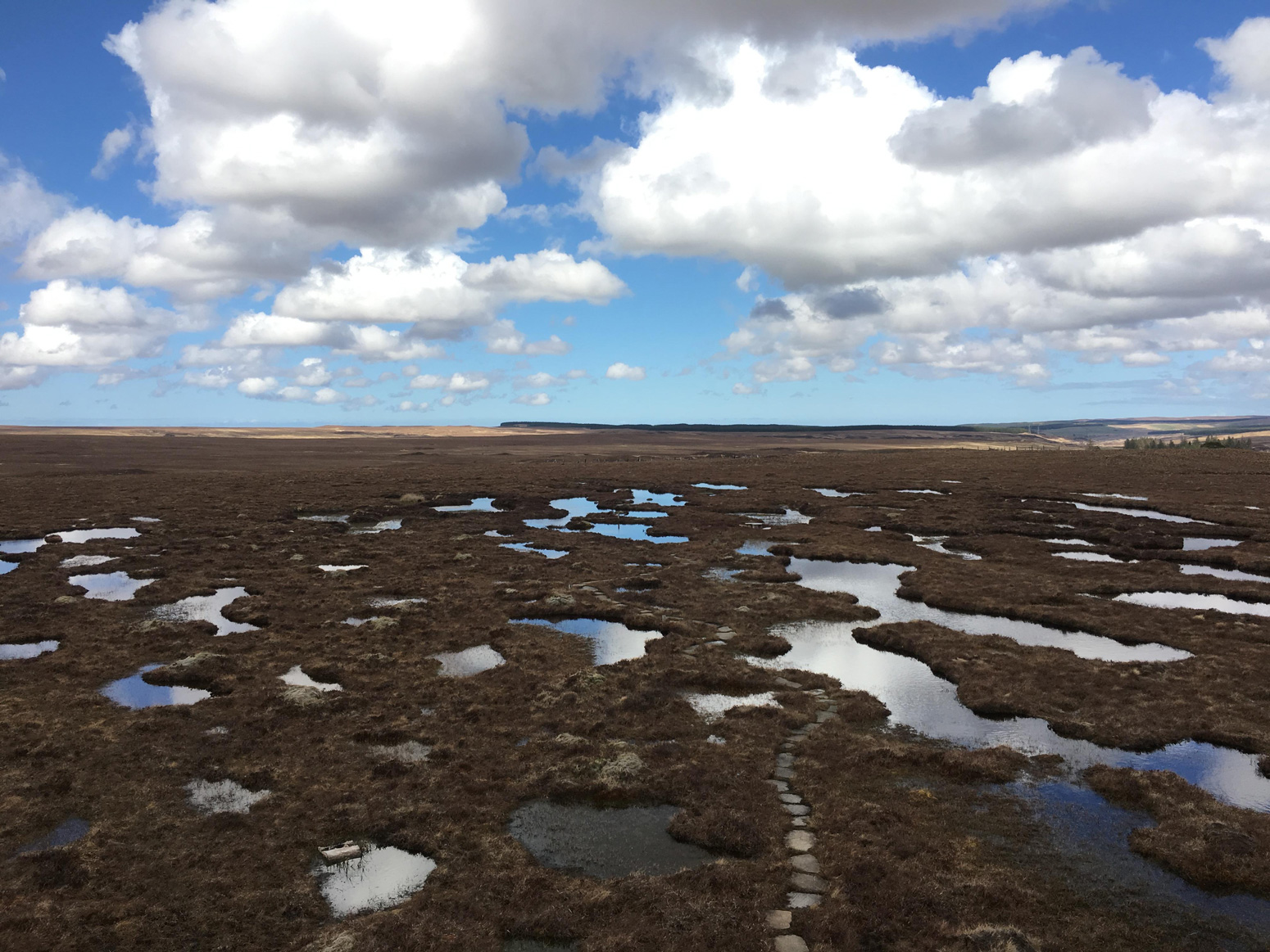 Peatland-at-Forsinard-Flows-national-nature-reserve-Scottish-Highlands