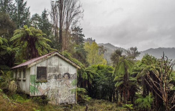 Shed painted with mural of a Maori legend, North Island, New Zealand.