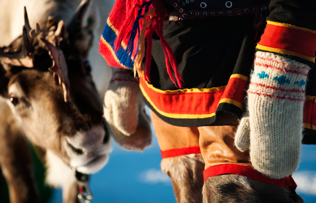 Sami with reindeer in Finland