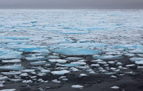 Sea ice in Svalbard