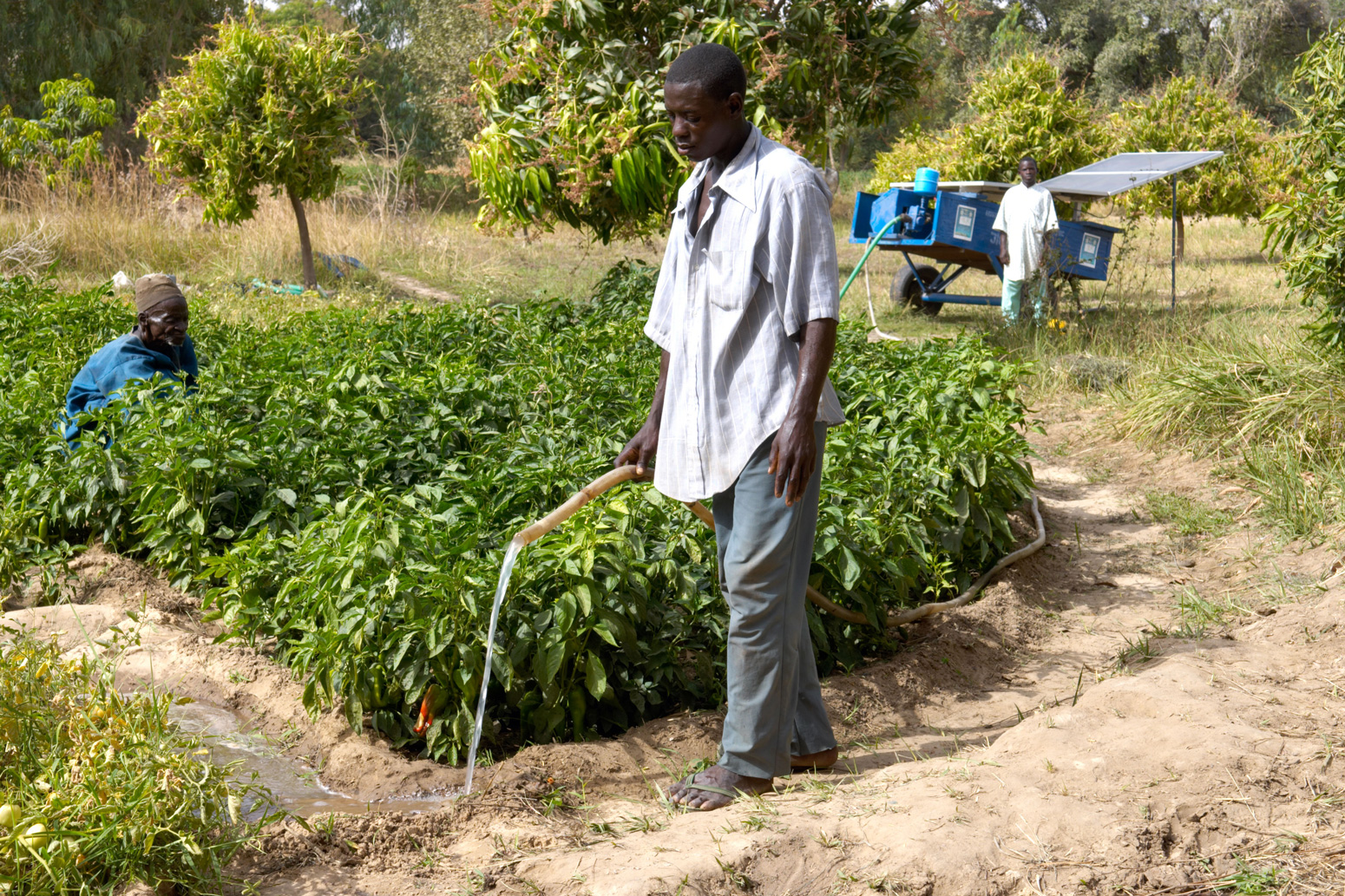 Small scale solar energy project in the village of Wawan Rafi, Jigawa State Northern Nigeria.