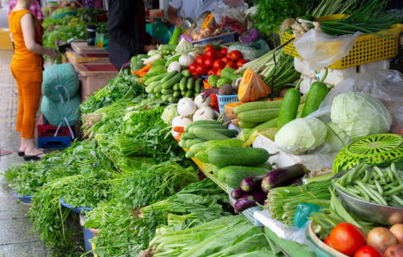 stall with fresh green vegetables on farmers market