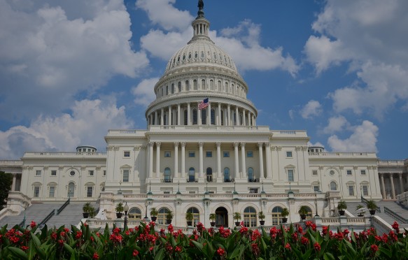 US Capitol Building, Washington DC