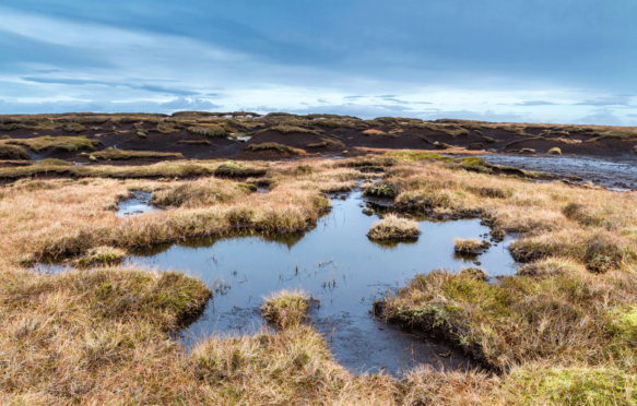 Blanket peat bog moorland on Kinder Scout, Derbyshire, Peak District National Park, England, UK